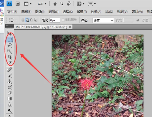 反选快捷键 反选快捷键