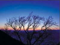 数码相机 数码相机